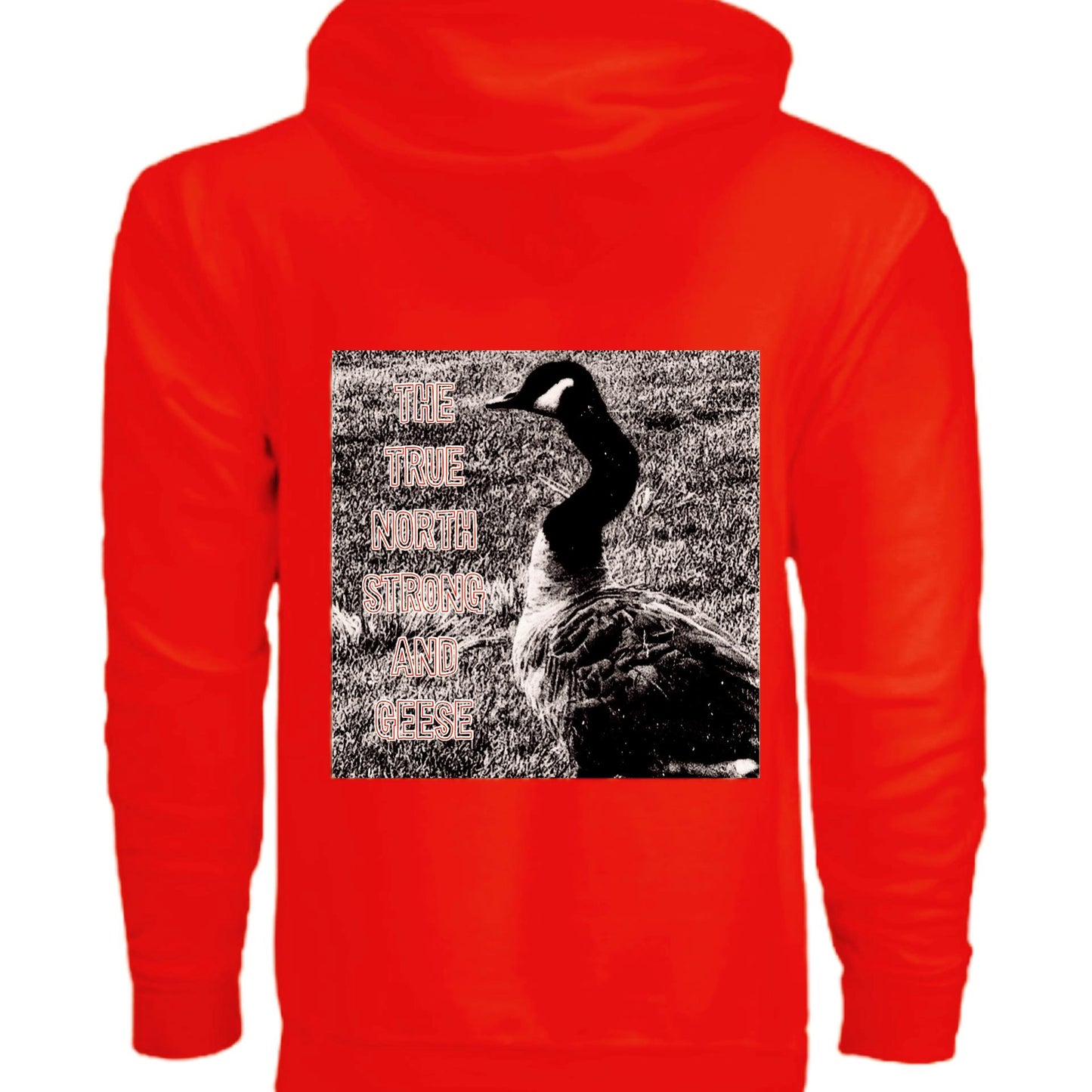 True North Strong and Geese