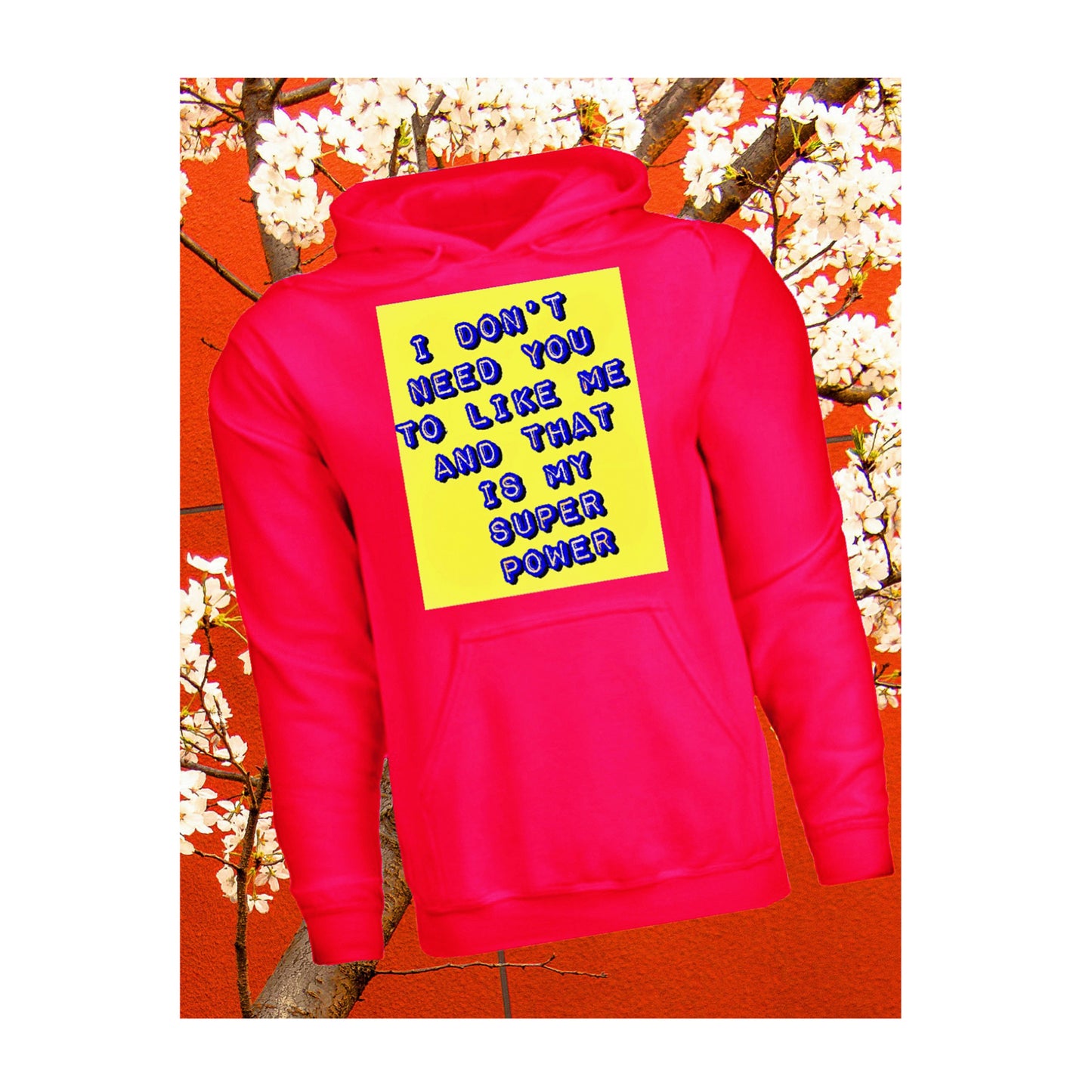 I Don't Care If You Like Me